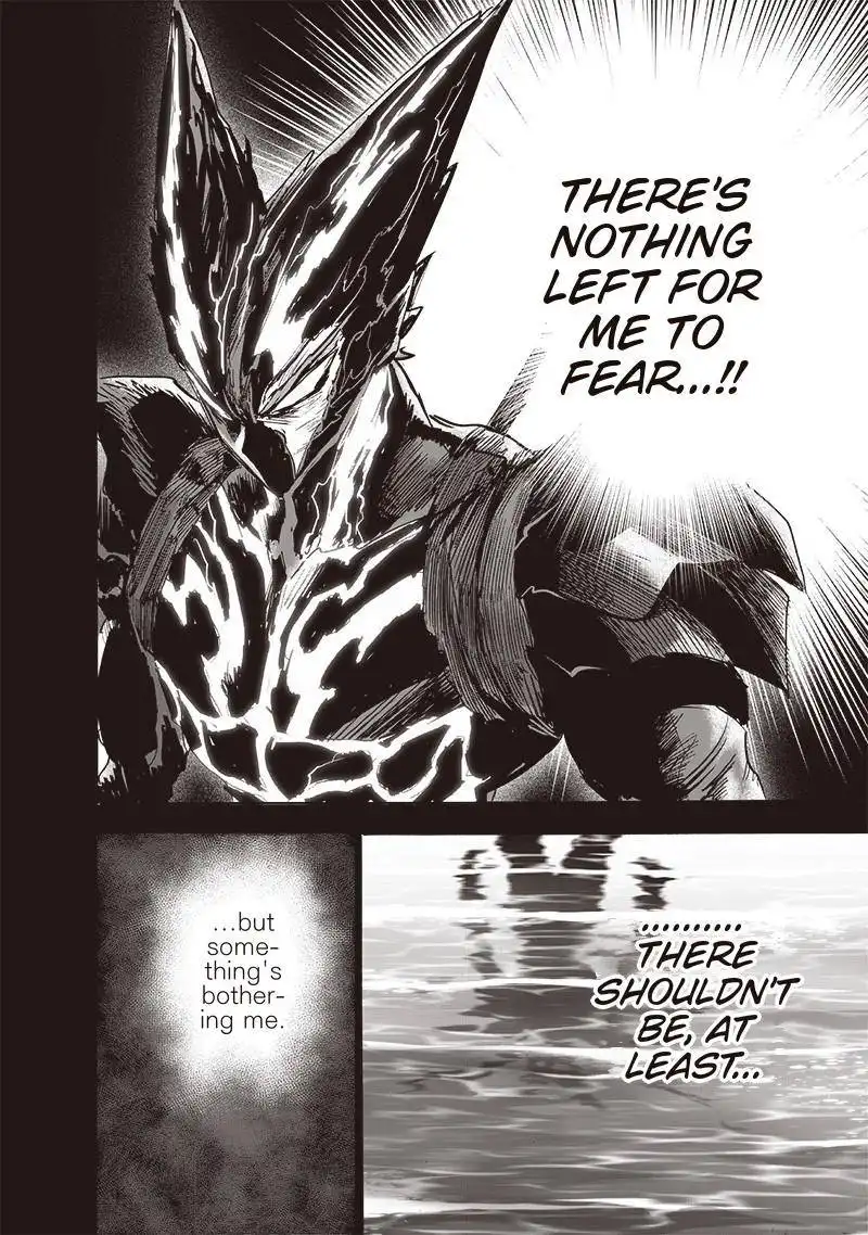 One-Punch Man Chapter 161 4